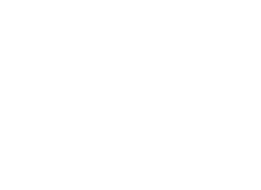 Logo Endoscopy Academy W-V