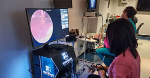 Simulador Virtual Histeroscopia